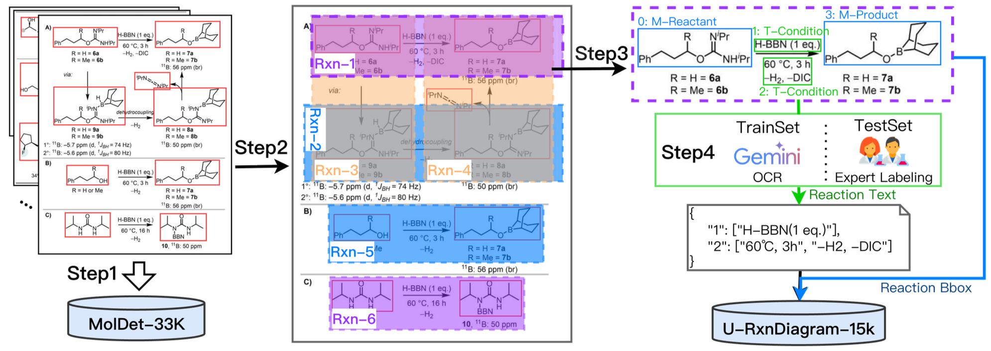 Dataset Statistics and distribution